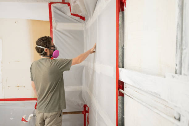 Best Mold Odor Removal Services  in Winona, MS